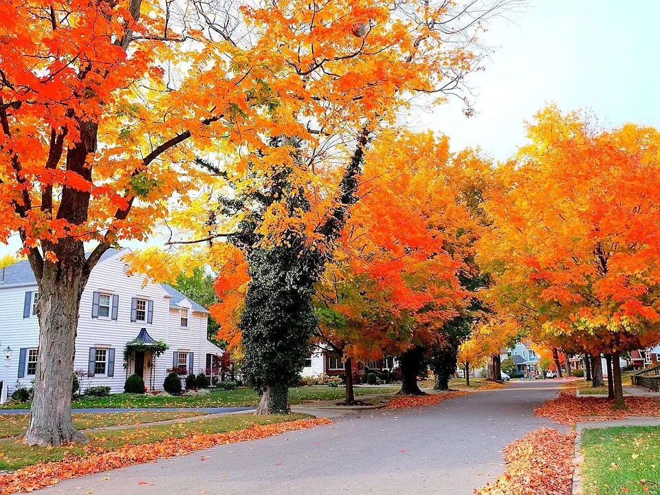 Tree-lined residential street in autumn showcasing homes with clean vinyl siding and vibrant curb appeal in a well-maintained neighborhood.