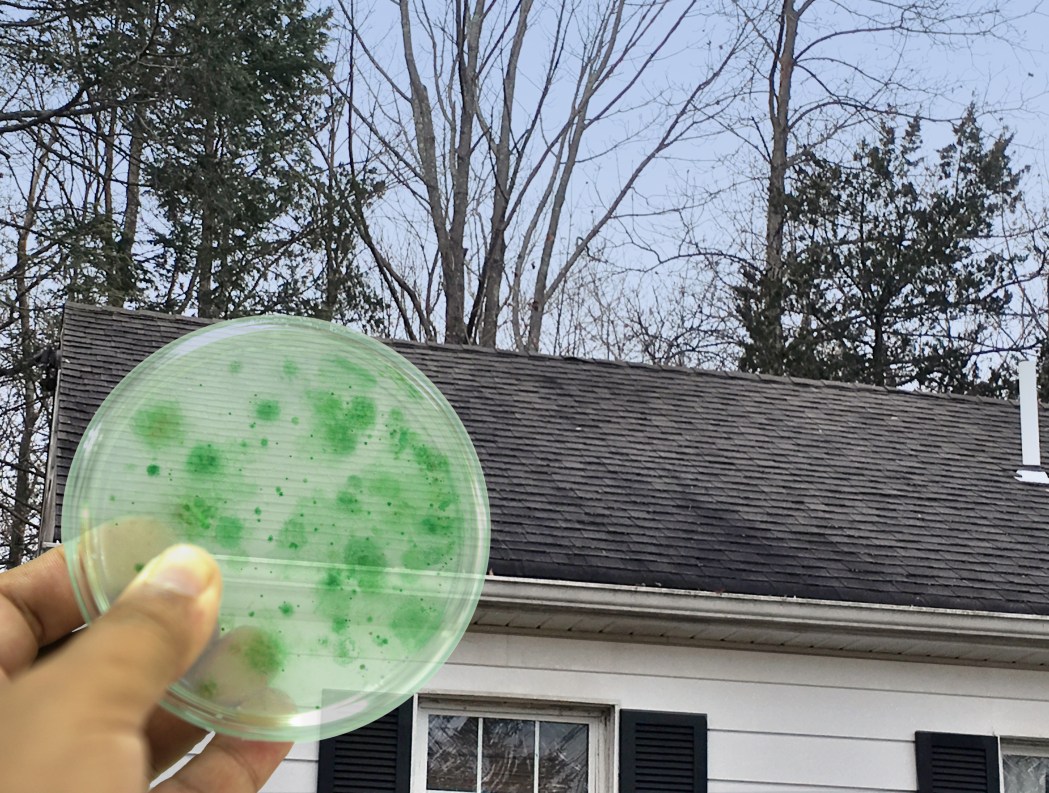 Algae Resistant Shingles: 25-Year Guaranteed Protection