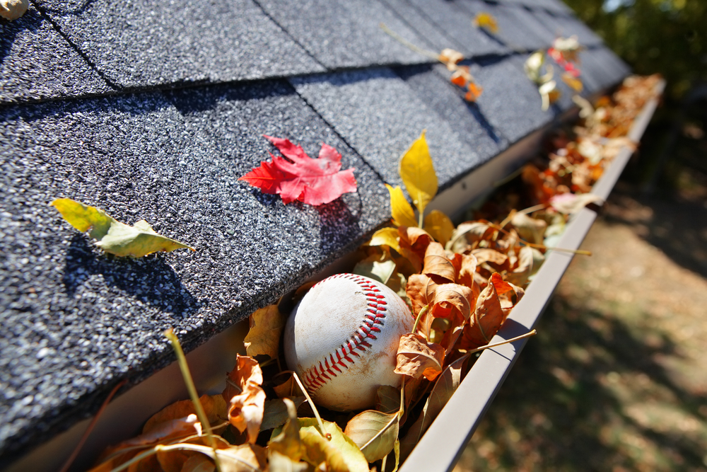 Gutter protection illustrated: Rain gutter overflowing with fallen autumn leaves, red and yellow debris, and twigs on a shingled roof, showing the common clogging issue that gutter guards and professional installation prevent to protect your home from water damage